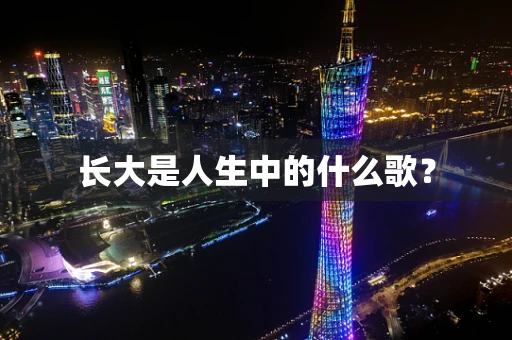 长大是人生中的什么歌？
