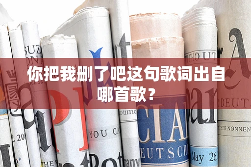 你把我删了吧这句歌词出自哪首歌？
