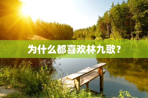 为什么都喜欢林九歌？