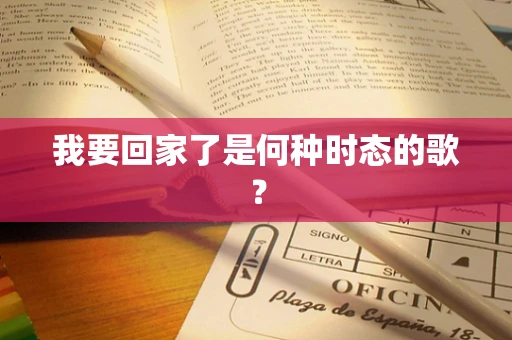 我要回家了是何种时态的歌？