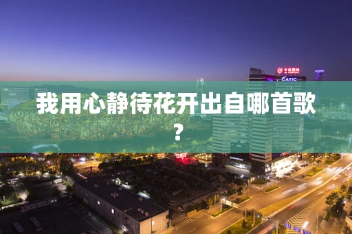我用心静待花开出自哪首歌？
