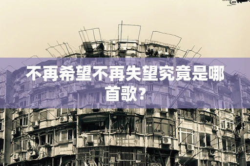 不再希望不再失望究竟是哪首歌？