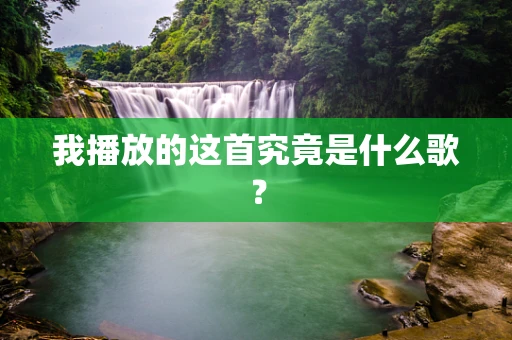 我播放的这首究竟是什么歌？