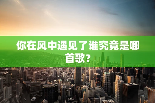 你在风中遇见了谁究竟是哪首歌？