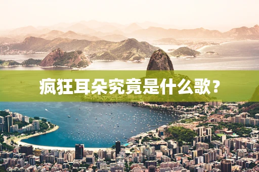 疯狂耳朵究竟是什么歌？