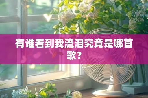 有谁看到我流泪究竟是哪首歌？
