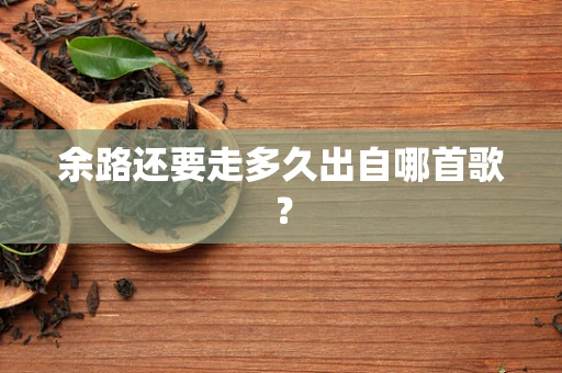 余路还要走多久出自哪首歌？