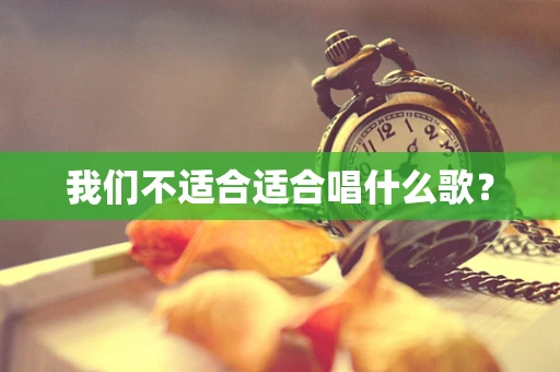 我们不适合适合唱什么歌？