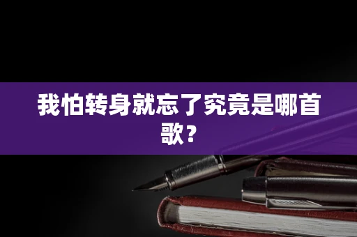 我怕转身就忘了究竟是哪首歌？