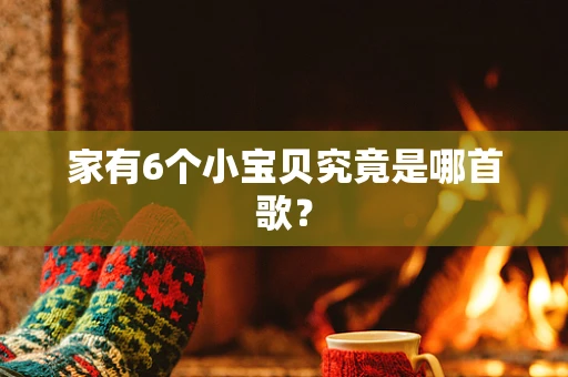 家有6个小宝贝究竟是哪首歌？