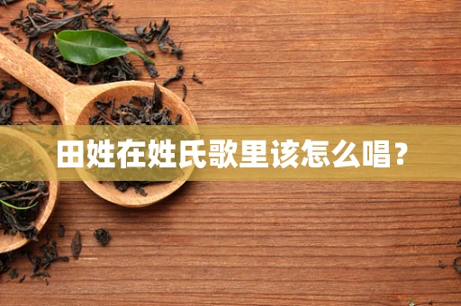 田姓在姓氏歌里该怎么唱？