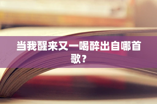 当我醒来又一喝醉出自哪首歌？