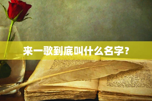 来一歌到底叫什么名字？