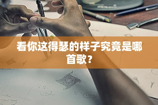 看你这得瑟的样子究竟是哪首歌？