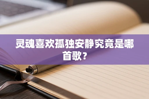 灵魂喜欢孤独安静究竟是哪首歌？