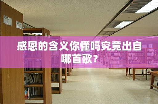 感恩的含义你懂吗究竟出自哪首歌？