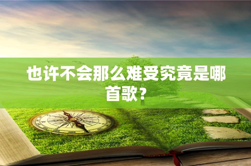 也许不会那么难受究竟是哪首歌？