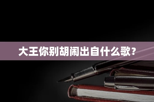 大王你别胡闹出自什么歌？