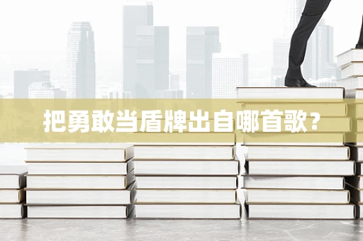 把勇敢当盾牌出自哪首歌？