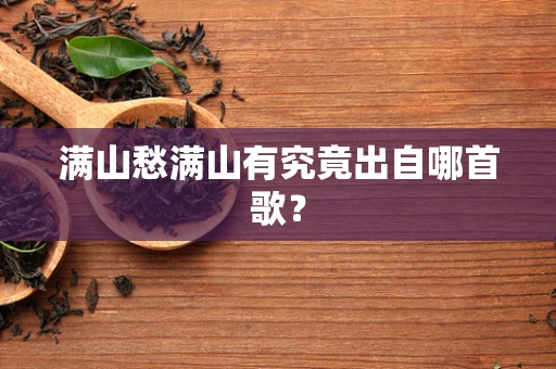 满山愁满山有究竟出自哪首歌？