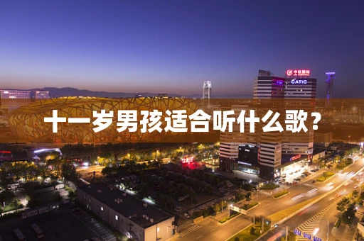 十一岁男孩适合听什么歌？