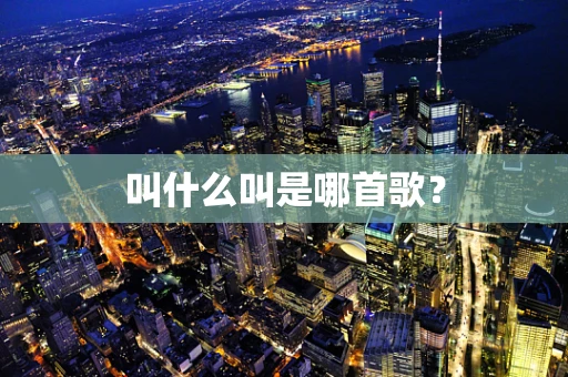 叫什么叫是哪首歌？