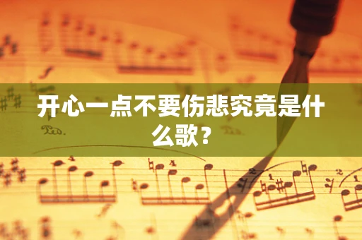 开心一点不要伤悲究竟是什么歌？