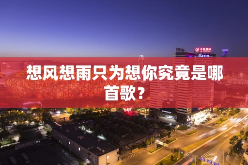 想风想雨只为想你究竟是哪首歌？
