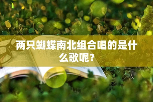 两只蝴蝶南北组合唱的是什么歌呢？