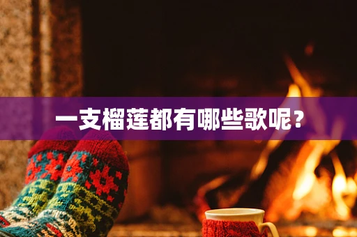 一支榴莲都有哪些歌呢？