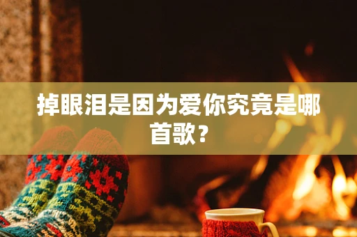 掉眼泪是因为爱你究竟是哪首歌？
