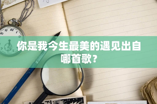 你是我今生最美的遇见出自哪首歌？