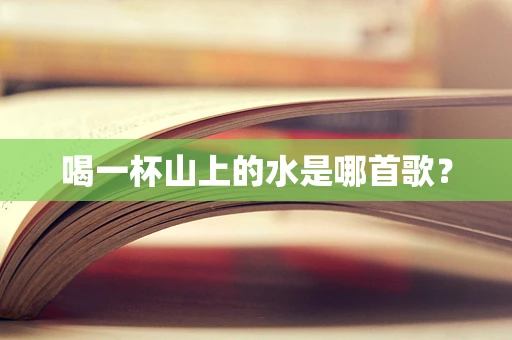 喝一杯山上的水是哪首歌？