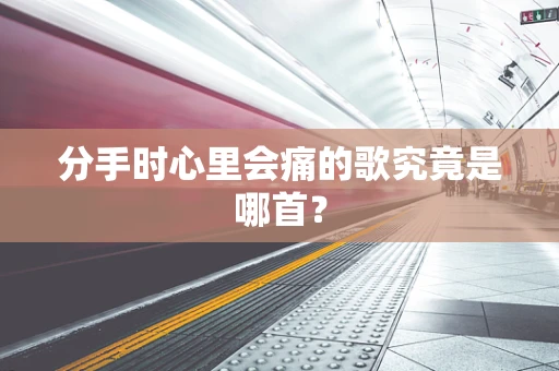 分手时心里会痛的歌究竟是哪首？