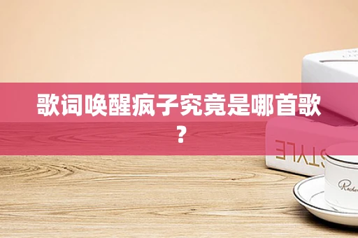 歌词唤醒疯子究竟是哪首歌？