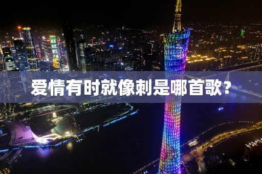 爱情有时就像刺是哪首歌？
