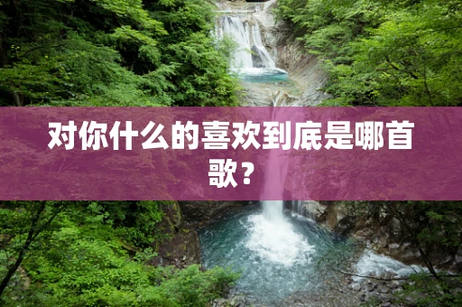 对你什么的喜欢到底是哪首歌？