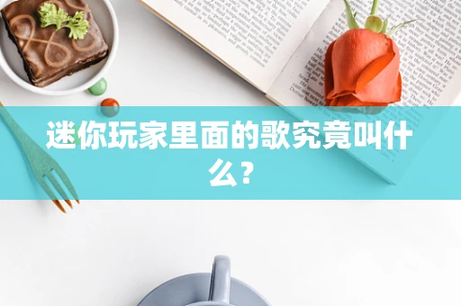 迷你玩家里面的歌究竟叫什么？