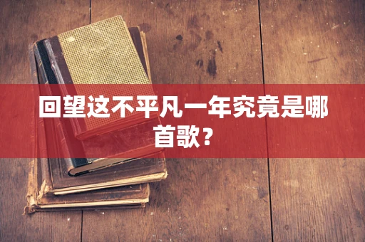 回望这不平凡一年究竟是哪首歌？