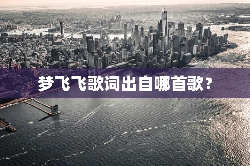 梦飞飞歌词出自哪首歌？