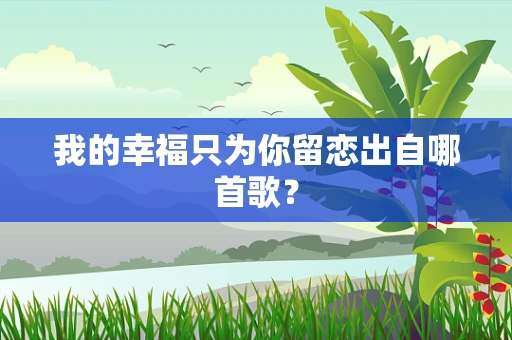 我的幸福只为你留恋出自哪首歌？