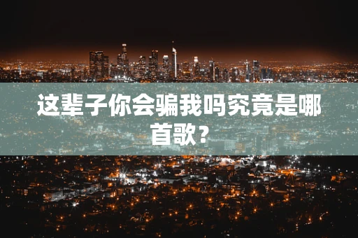这辈子你会骗我吗究竟是哪首歌？