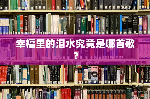 幸福里的泪水究竟是哪首歌？