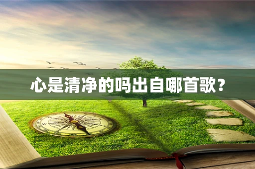 心是清净的吗出自哪首歌？