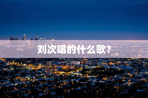 刘次唱的什么歌？