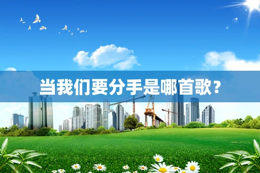 当我们要分手是哪首歌？