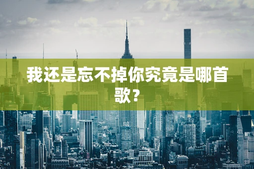 我还是忘不掉你究竟是哪首歌？