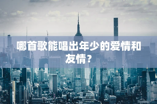 哪首歌能唱出年少的爱情和友情？