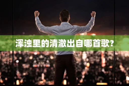 浑浊里的清澈出自哪首歌？