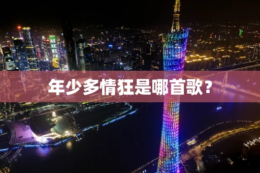 年少多情狂是哪首歌？